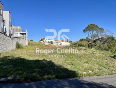 imagem-miniatura