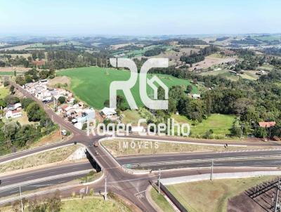 Área para Loteamento para Venda, em Apucarana, bairro Nova Ucrania