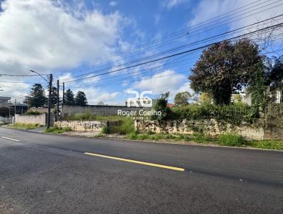 Terreno para Permuta para Venda, em Curitiba, bairro Santa felicidade