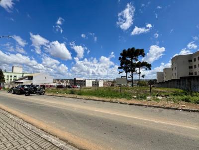 Terreno para Permuta para Venda, em Pinhais, bairro Jardim Am�lia