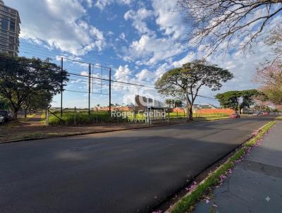 &Aacute;rea para Incorpora&ccedil;&atilde;o para Venda na cidade de Maring&aacute; no bairro Gleba Ribeir&atilde;o Pinguim